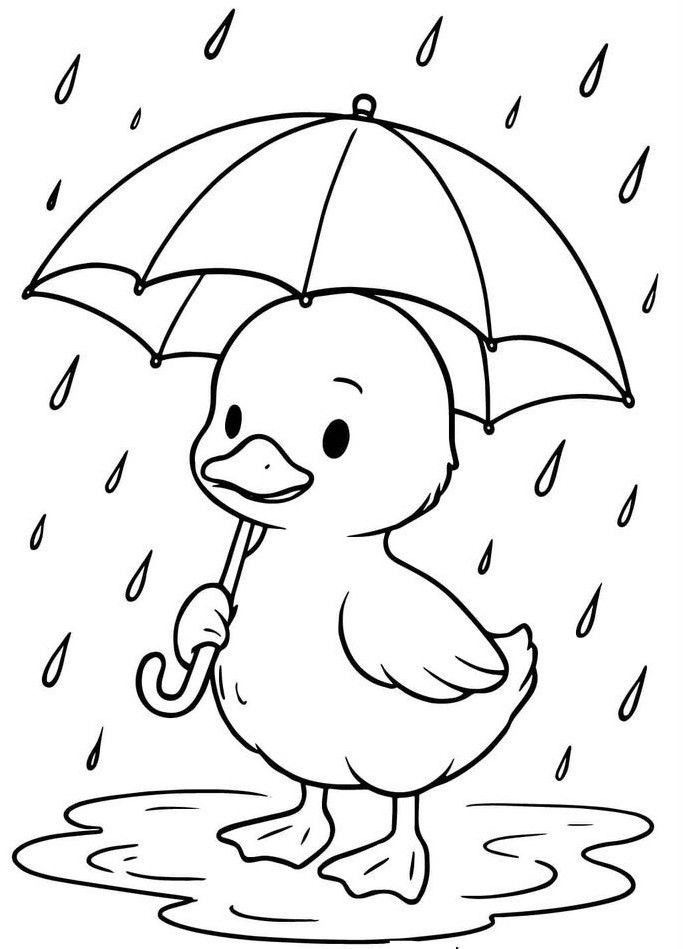 Duck in the Rain